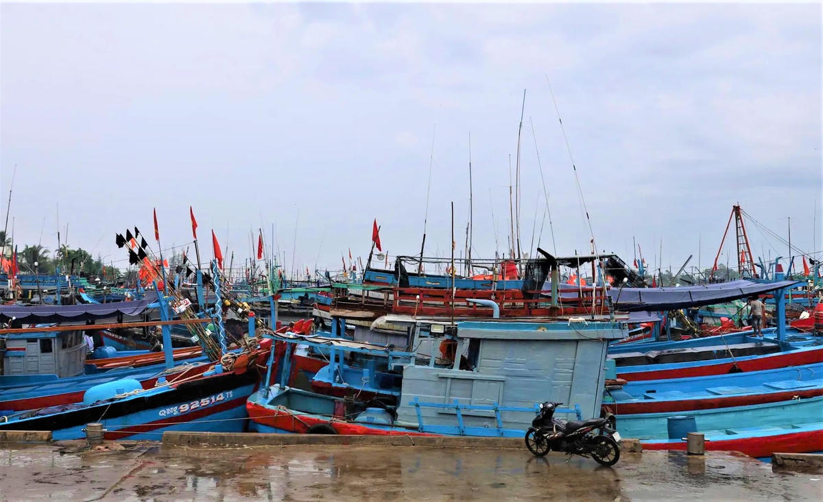 Tàu thuyền Quảng Ngãi vào neo đậu tại cảng Tịnh Hòa. Ảnh: CV.