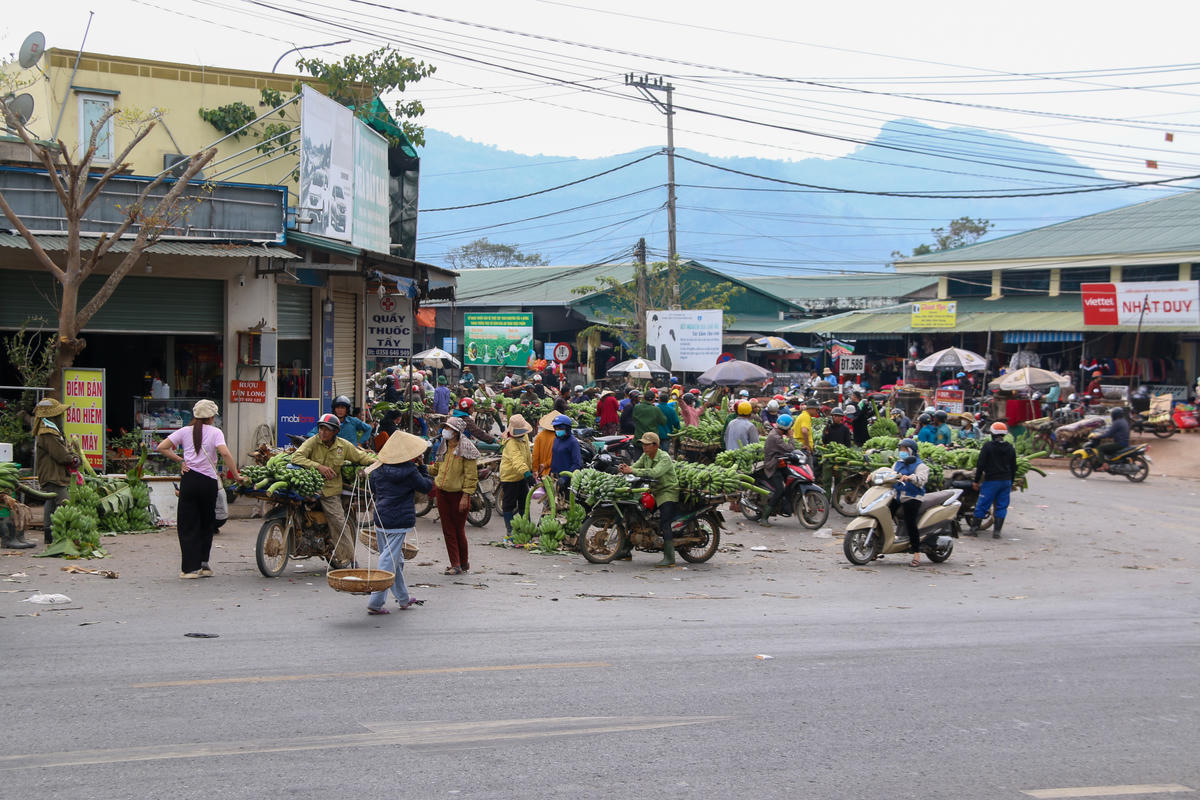 Trước kia, khu vực này thu hút nhiều người dân đến mua bán chuối nên còn được gọi là "chợ chuối Tân Long". Ảnh: ĐV/chụp tháng 2/2024.