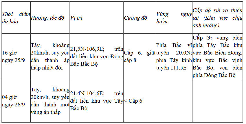 Bão số 9 giật cấp 11, cách Móng Cái khoảng 120km