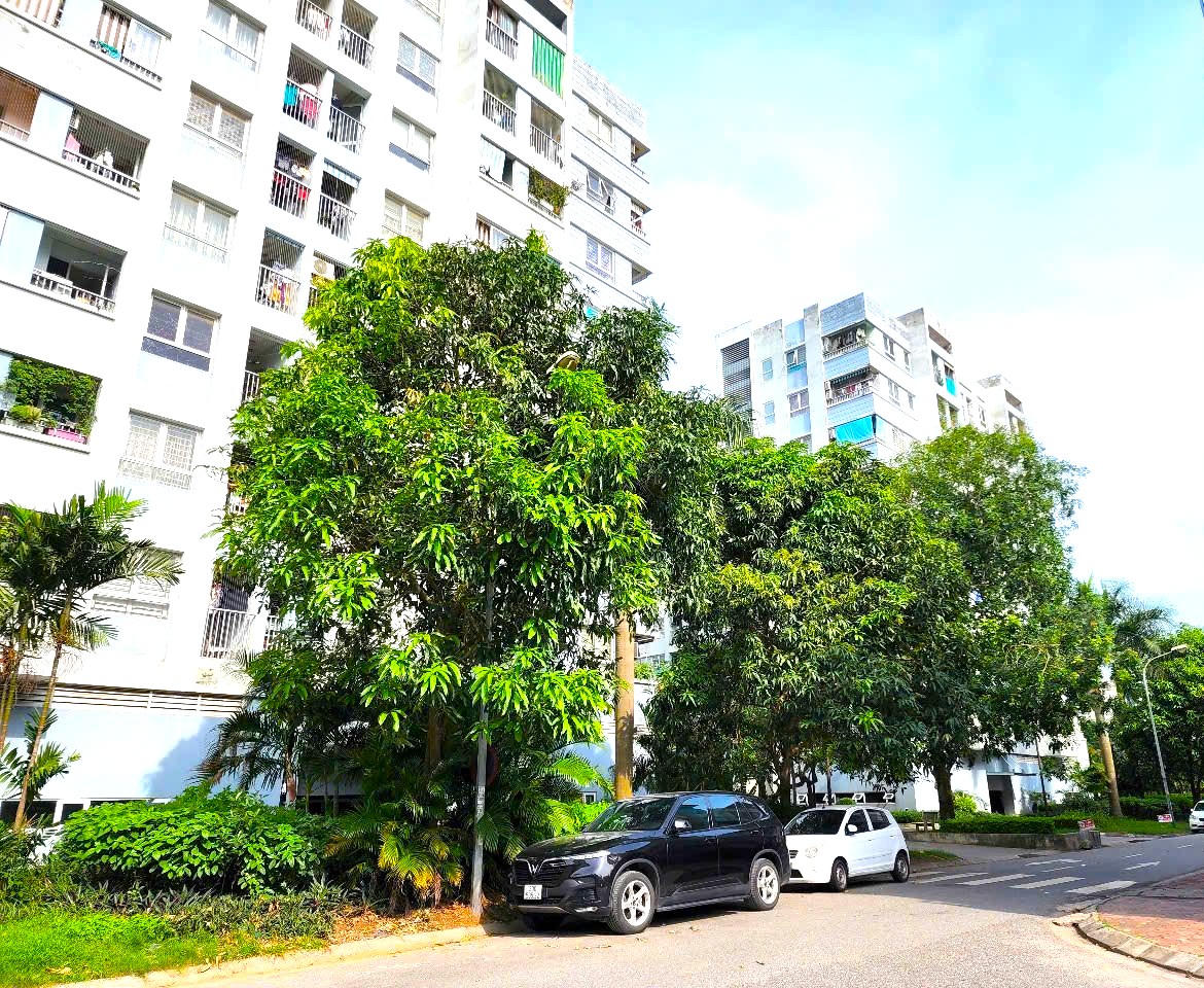 Làm rõ giá trị quỹ đất sẽ giúp chủ đầu tư tiếp cận tốt hơn dự án nhà ở xã hội. Ảnh: K.H