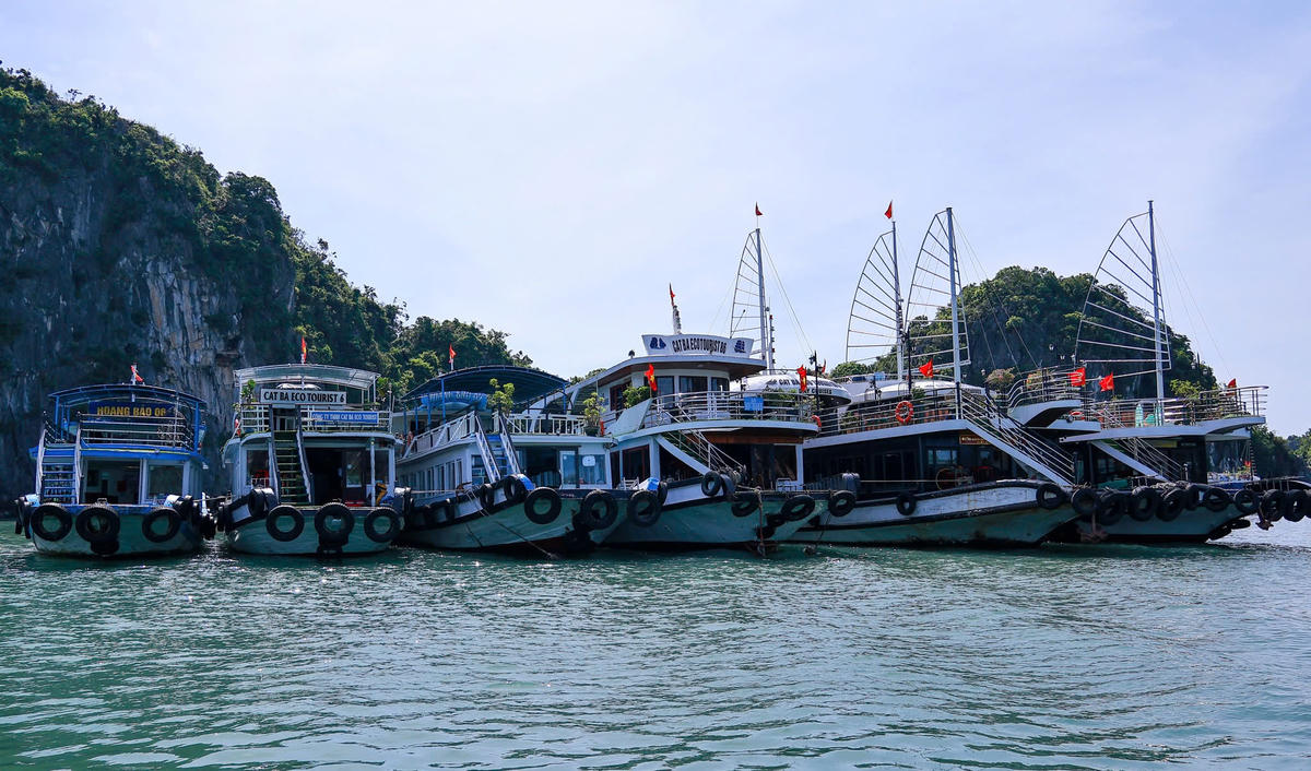 Tàu thuyền tại Đặc khu Cát Hải, TP Hải Phòng về nơi tránh bão an toàn. Ảnh: Xuân Thuỷ. 