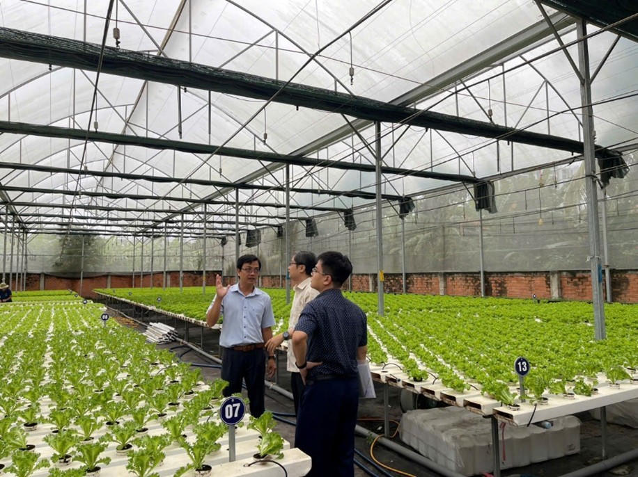   Ông Lâm Ngọc Tuấn – Giám đốc HTX Tuấn Ngọc trao đổi với lãnh đạo Chi cục Phát triển nông thôn (Sở Nông nghiệp và Môi trường TP Hồ Chí Minh) về quy trình trồng rau thủy canh. Ảnh: Thanh Nhàn  