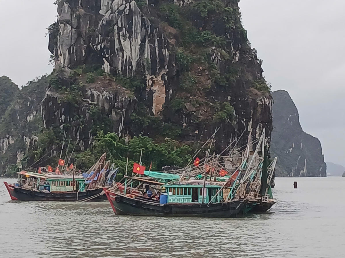 Tàu cá tránh trú trên vùng biển phường Hạ Long (tỉnh Quảng Ninh) sáng 25/9. Ảnh: Nguyễn Quý.