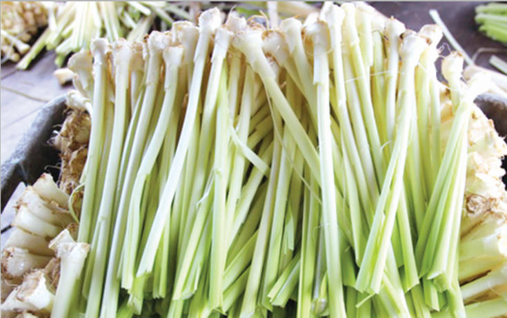   Bồn bồn đã được sơ chế.  