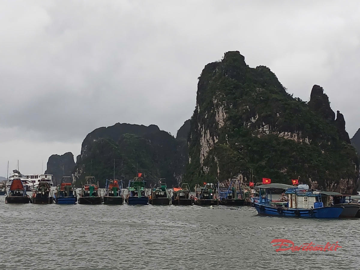 Tàu cá về tránh trú bão tại khu vực biển thuộc phường Hạ Long. Ảnh: Nguyễn Quý.