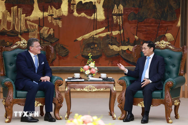  Phó Thủ tướng Bùi Thanh Sơn tiếp Cao ủy Thương mại và An ninh kinh tế Liên minh châu Âu (EU), Maros Sefcovic. (Ảnh: Dương Giang/TTXVN) 