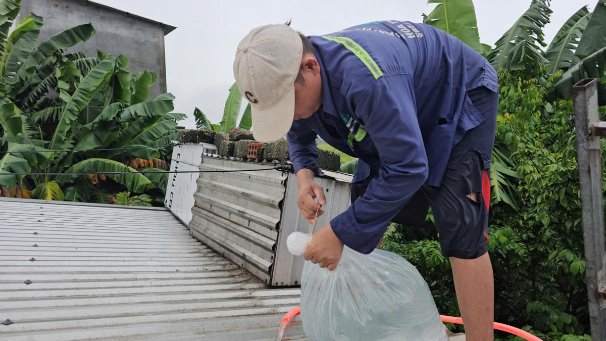 Cách làm này rất tiện lợi, đỡ tốn kém và an toàn hơn nhiều so với việc sử dụng các bao cát, đất đá đặt lên mái nhà như trước đây. Ảnh: N.Q.