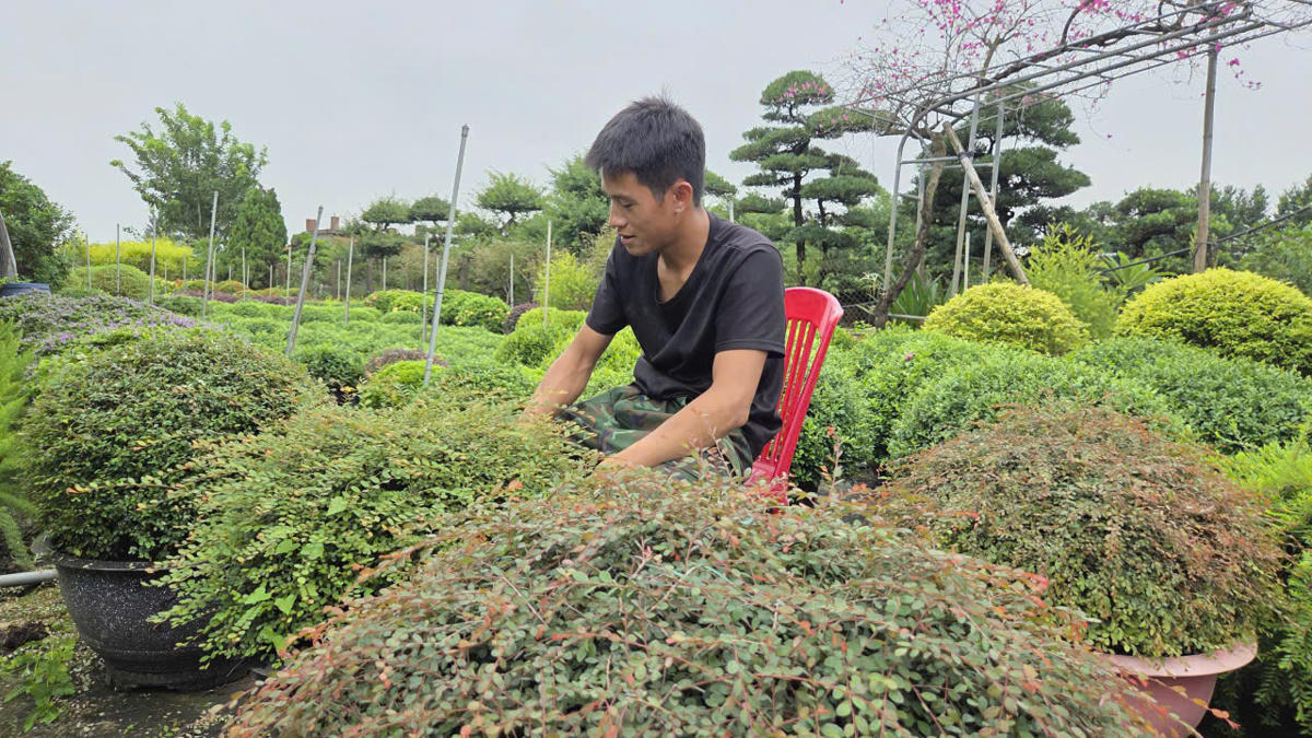 Nông dân phường Vị Khê (Ninh
Bình) làm giàu từ
nghề trồng hoa, cây cảnh

Ảnh: DH