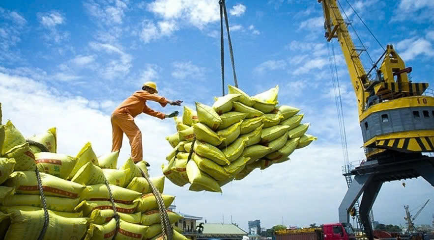 Việc đa dạng hình thức tích trữ gạo sẽ giúp nông dân tránh được cú sốc từ thị trường. Ảnh: Chu Khôi