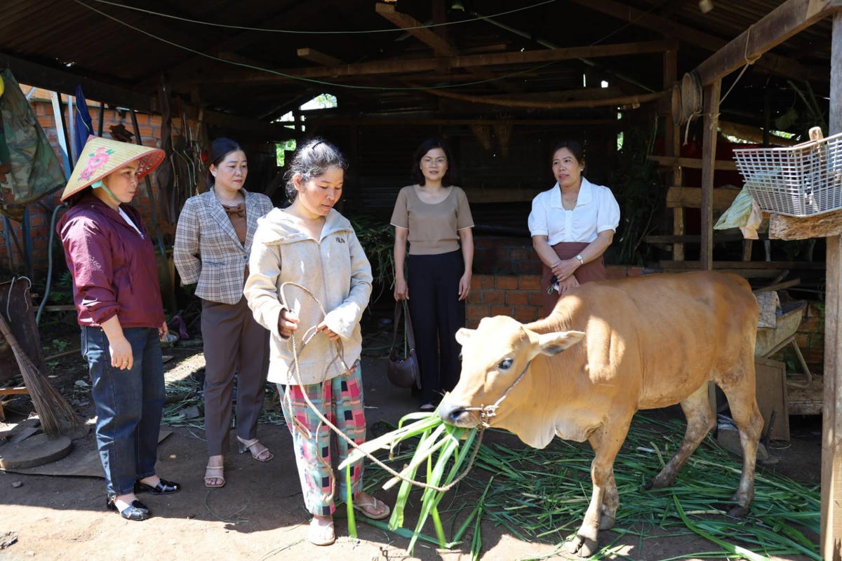 Hội LHPN xã Thuận An hỗ trợ sinh kế cho chị H Chên (ở giữa) để phát triển chăn nuôi. Ảnh: Linh Thư