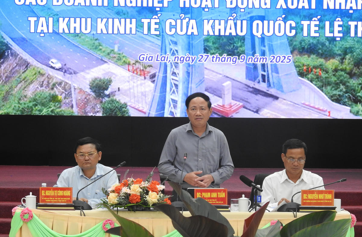 Chủ tịch UBND tỉnh Gia Lai Phạm Anh Tuấn phát biểu tại hội nghị. Ảnh:
Đình Sang