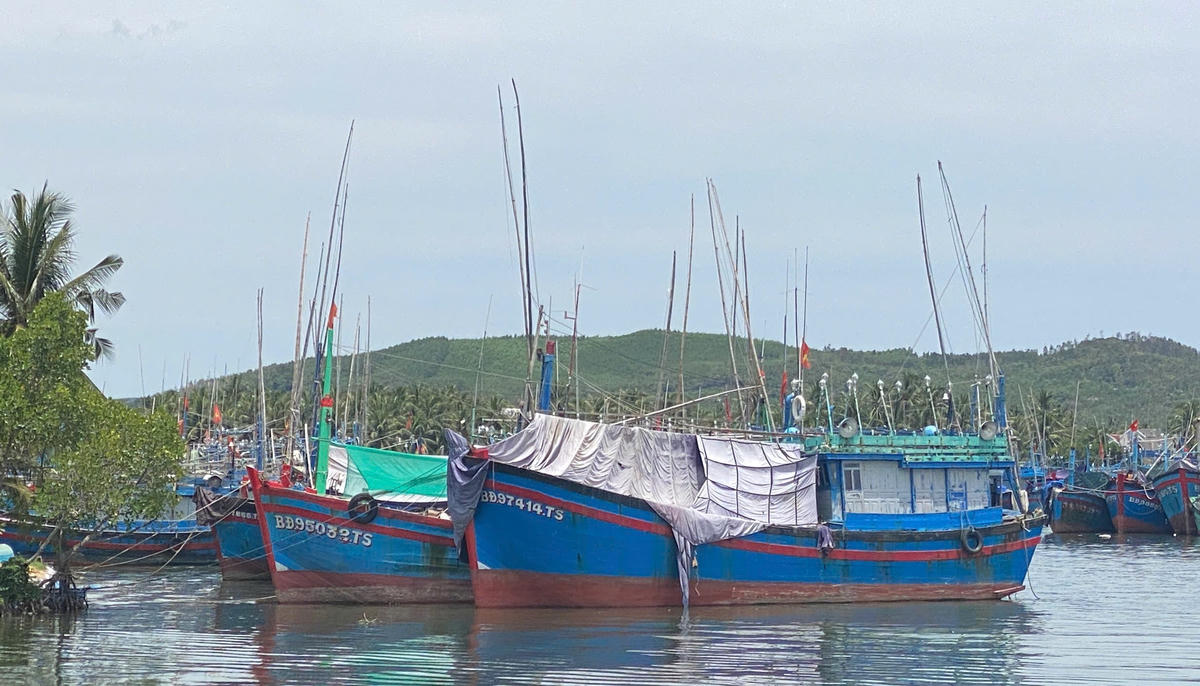 Tàu thuyền tỉnh Gia Lai đã vào khu neo đậu an toàn. Ảnh: Đình Sang.