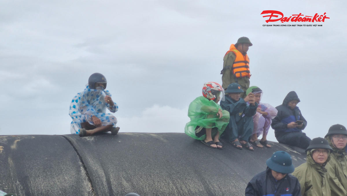 Nhiều người dân có mặt tại đây cho biết, từ sáng 28/9, trên địa
bàn mưa to và gió mạnh hơn. Ảnh: Đỗ Văn.