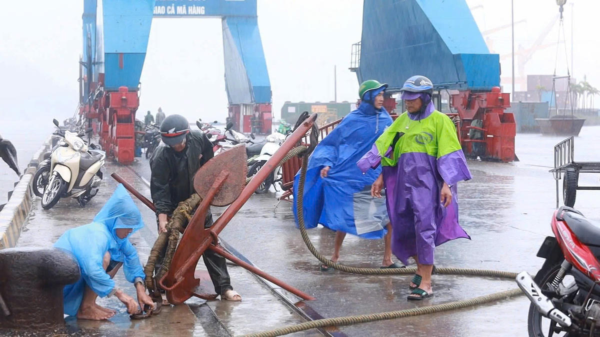 Đến 9 giờ sáng 28/9, toàn tỉnh đã có 2.891 tàu cá với hơn 13.000 lao động được đưa về neo đậu an toàn, chỉ còn 4 tàu với 22 lao động đang hoạt động tại vùng biển TP Hồ Chí Minh nhưng cũng đã nhận thông tin, khẩn trương tìm nơi tránh trú. Ảnh: VL