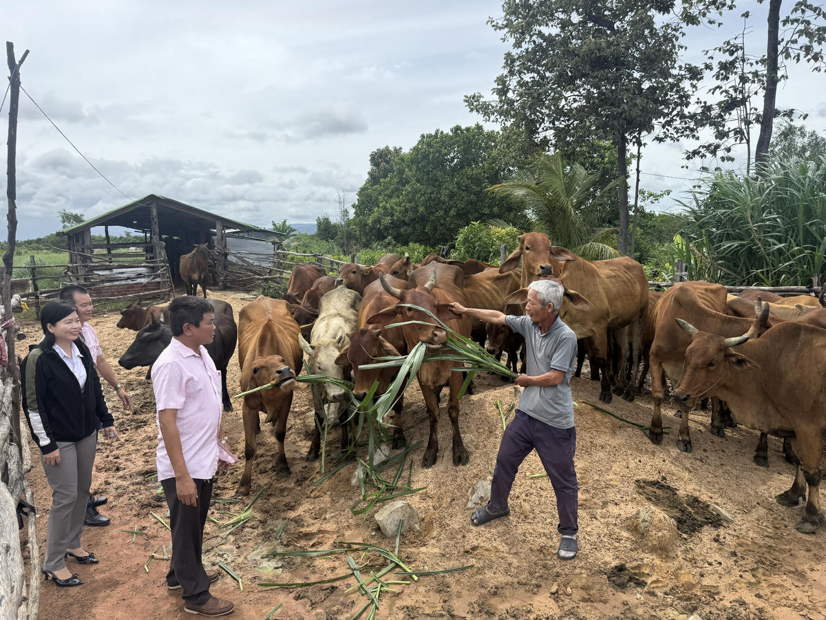 Nhờ các nguồn hỗ trợ từ Quỹ Vì người nghèo và các chương trình an sinh xã hội, nhiều hộ gia đình khó khăn đã có điều kiện phát triển kinh tế, vươn lên ổn định cuộc sống. Ảnh: TN