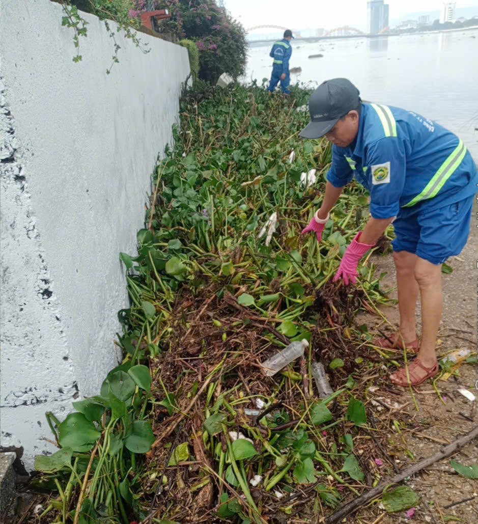 Các công nhân dọn rác trên sông. Ảnh: Nguyễn Tú.
