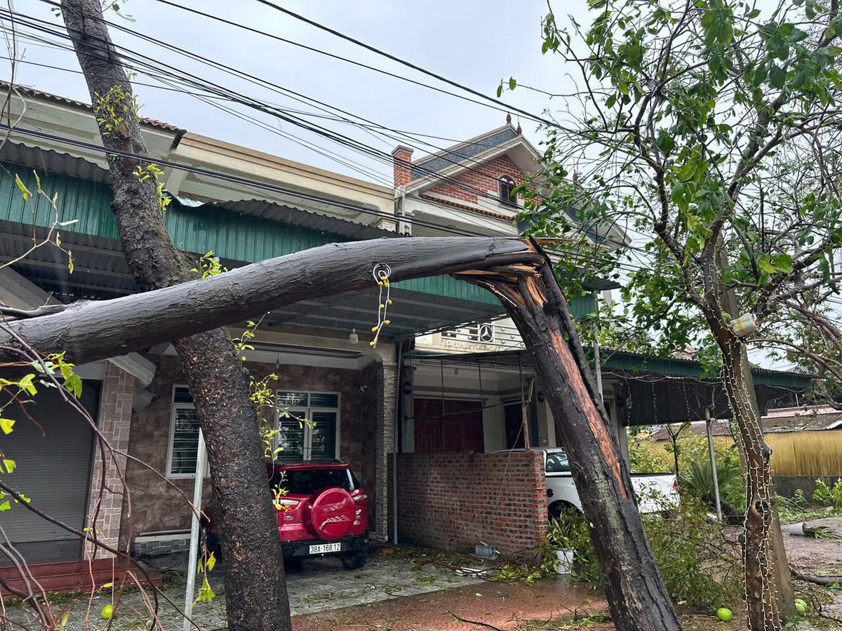 Một thân cây ở đường Quang Trung, phường Trần Phú, tỉnh Hà Tĩnh gãy ngang trước cửa nhà dân. 