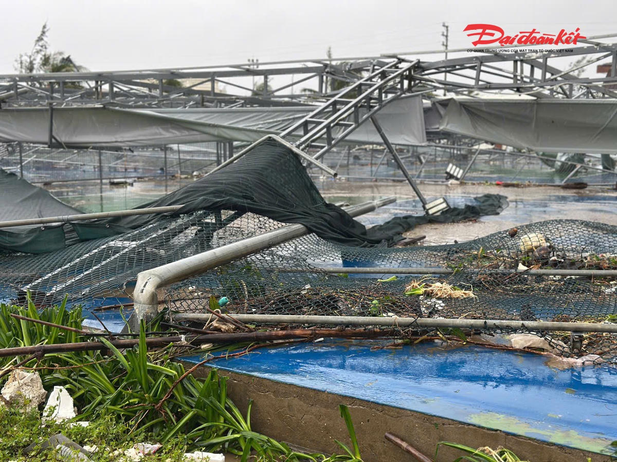 Cụm sân pickleball bên trong khuôn viên Resort cũng đổ sập sau bão số 10.