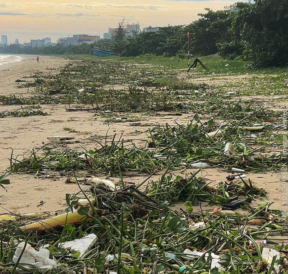 Rác phủ kín bãi tắm vịnh Đà Nẵng đường Nguyễn Tất Thành, phường Thanh Khê. Ảnh: Nguyễn Tú.