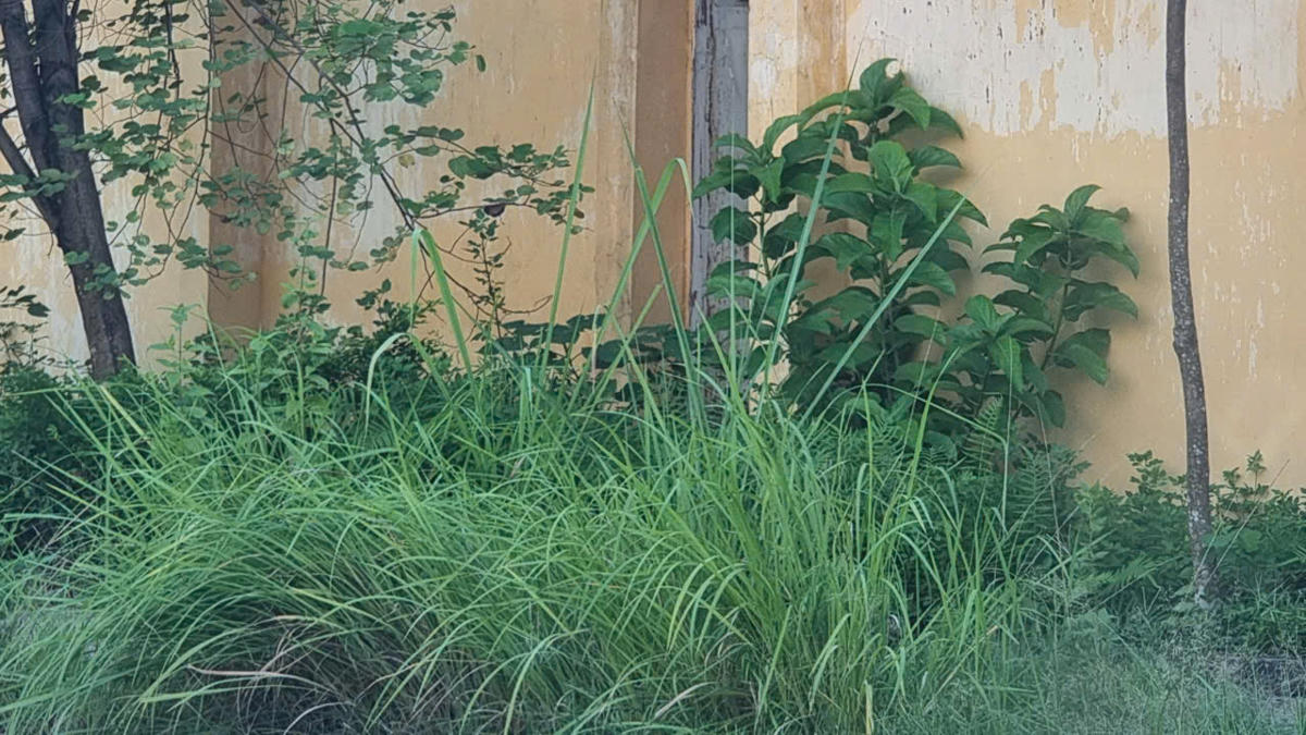 Phóng viên Báo Đại đoàn kết đã đăng ký làm việc với Công ty CP Gang thép Thái Nguyên từ cuối tháng 8/2025 về giải pháp tái sử dụng công trình trình sân vận động, tránh lãng phí như hiện nay. Tuy nhiên đến nay đơn vị này vẫn chưa có phản hồi. Ảnh: Toán Nguyễn.