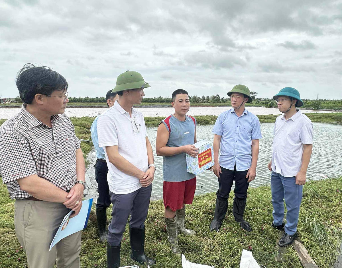 Chủ tịch Ủy ban MTTQ Việt Nam TP Hải Phòng Phạm Văn Lập động viên hộ trang trại tại xã Tân Minh do ảnh hưởng của lốc xoáy. Ảnh: PT. 