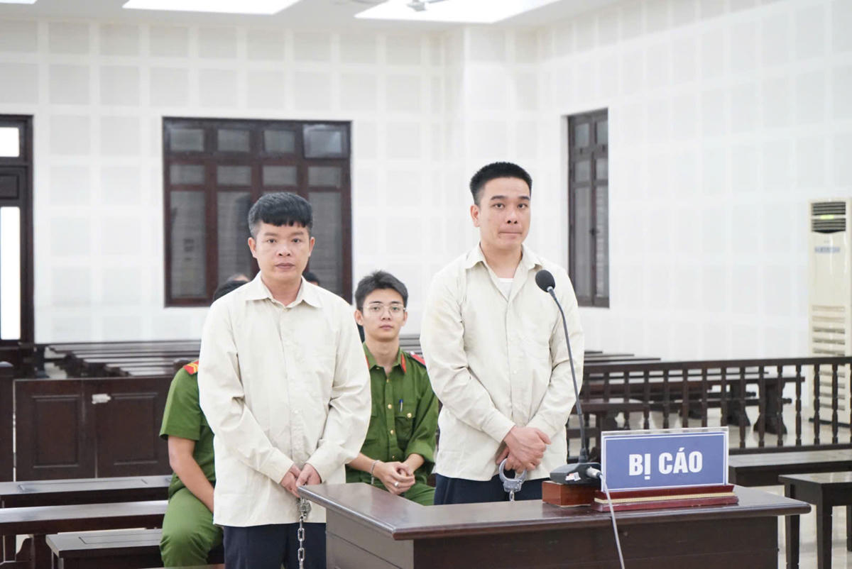 Cò đất thuê người đóng giả chủ đất, làm giả giấy tờ để lừa đảo lãnh án