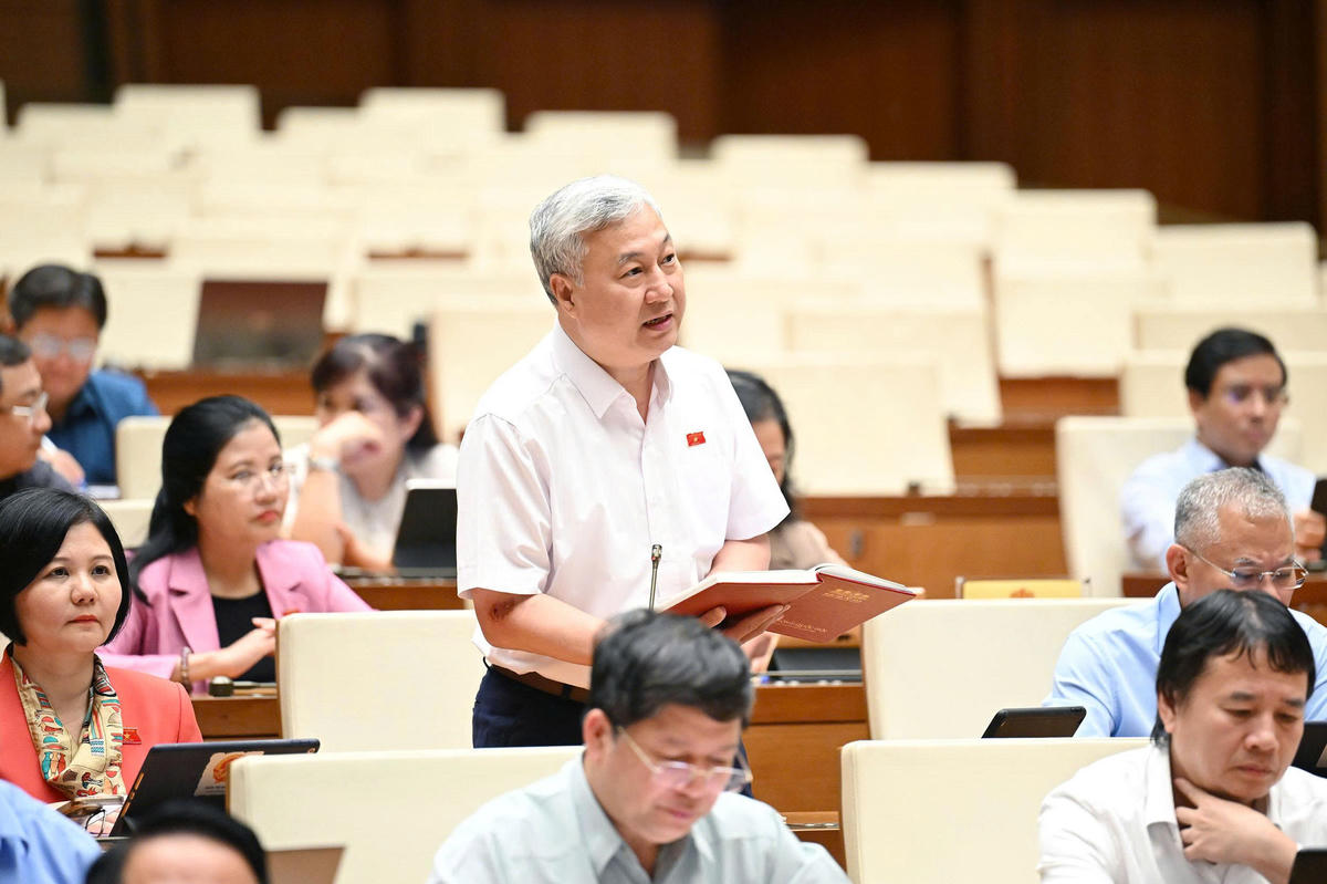 Đại biểu Trần Văn Lâm phát biểu (Ảnh: Phạm Thắng).