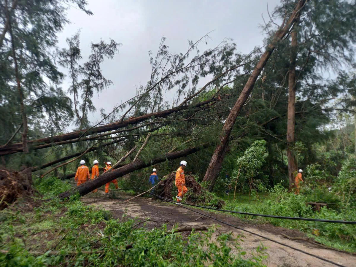 Ngành điện khắc phục sự cố điện do cây đổ vì bão số 10.