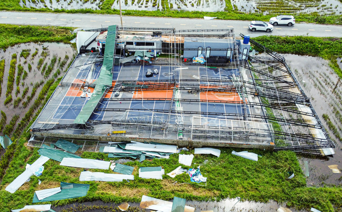 Toàn cảnh cụm sân hơn 1 tỉ đồng tan hoang, mái tôn và khung sắt nằm chằng chịt trên mặt sân. Ảnh: Cẩm Kỳ