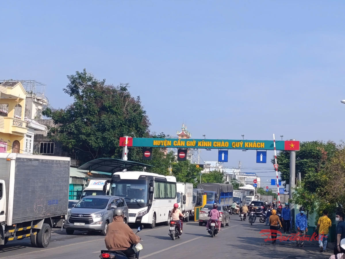 Phà Bình Khánh nối vào tuyến đường duy nhất đi Cần Giờ nên vào các dịp lễ, tết thường xuyên bị ùn tắc. Ảnh: Hồng Phúc.