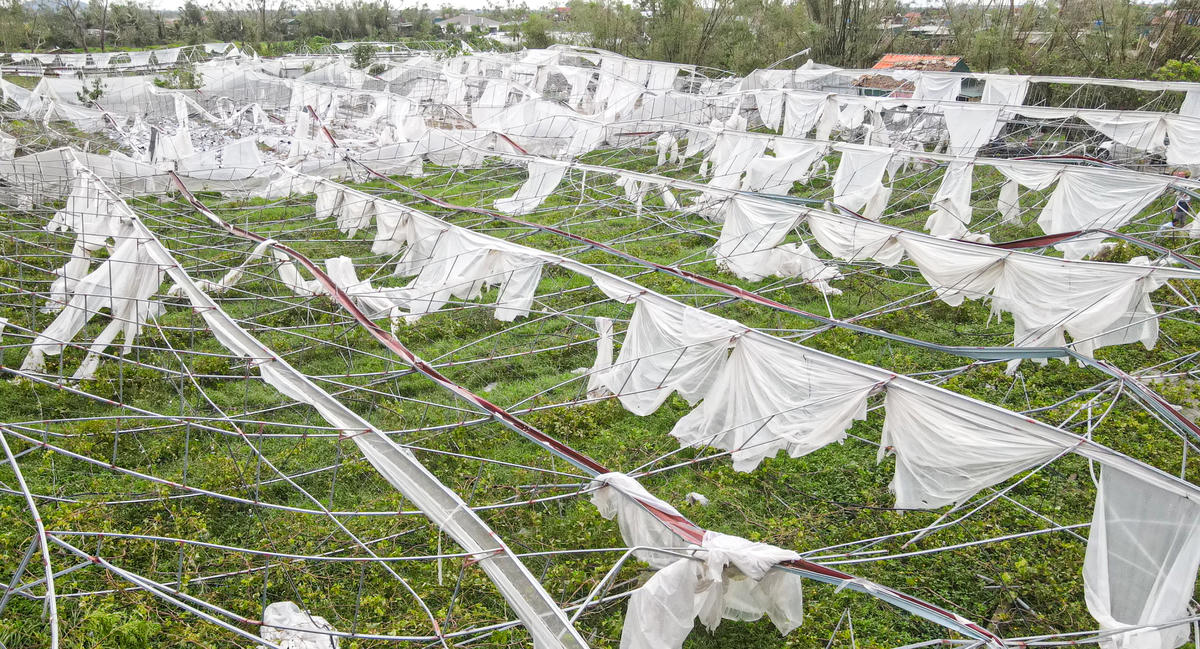 Cơn bão đi qua, thứ để lại không chỉ là khung thép méo mó, mái che rách nát, mà còn là sự sụp đổ của biết bao công sức. Ảnh: Cẩm Kỳ