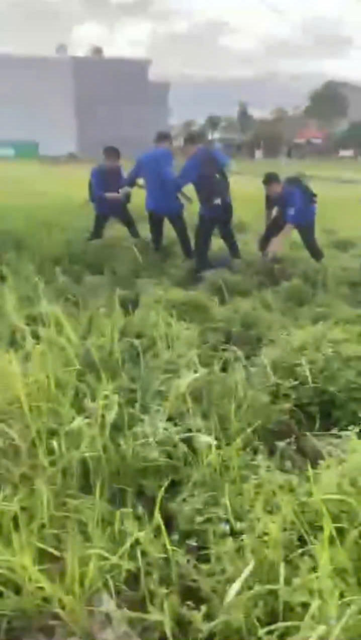 4 học sinh trường THPT Phan Bội Châu đánh hội đồng 1 bạn nam. Ảnh cắt từ clip. 