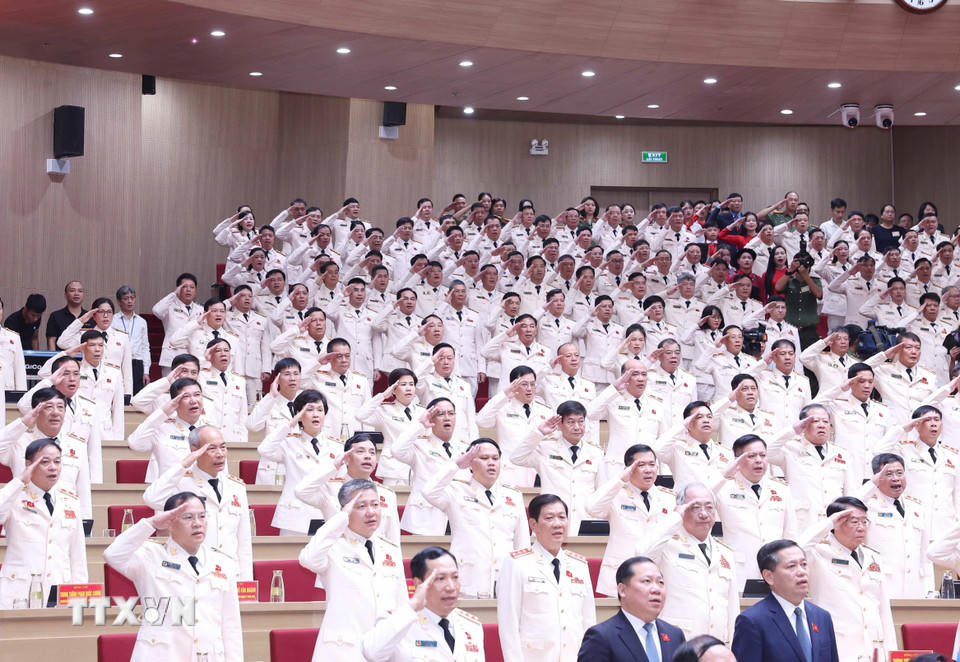 Các đại biểu thực hiện nghi lễ chào cờ. (Ảnh: Thống Nhất/TTXVN)