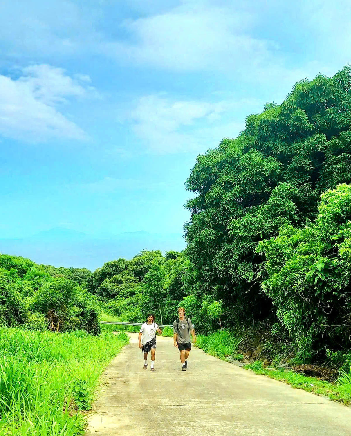 Du khách nước ngoài khám phá hệ sinh thái rừng tự nhiên ở Sơn Trà. Ảnh: Nguyễn Tú.