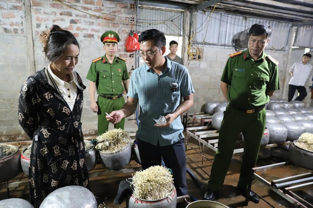 Lực lượng chức năng tỉnh Hà Tĩnh phát hiện hộ kinh doanh trên địa bàn phường Thành Sen sử dụng chất cấm để sản xuất 472 kg giá đỗ xuất bán ra thị trường, tháng 9/2025.