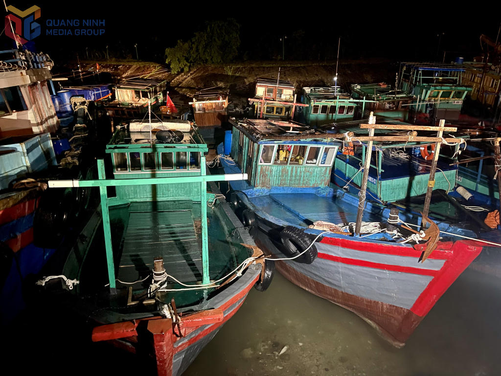 Tàu thuyền neo đậu tránh trú bão khu vực Vân Đồn đảm bảo an toàn trong đêm 5/10. Ảnh: QMG.