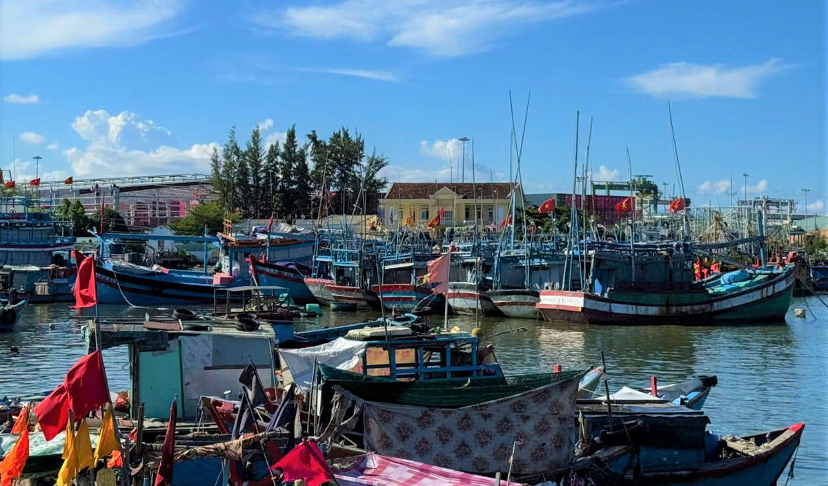 Một góc cảng cá ở tỉnh Gia Lai. Ảnh: Đình Sang.