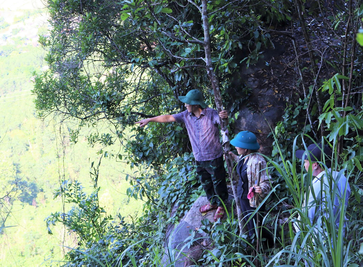 Ông Nguyễn Văn Sinh (chỉ tay), Chủ tịch UBND xã Ba Động đánh giá nếu khối đá ngã, đổ từ trên cao xuống gây nguy hiểm. Ảnh: CV.