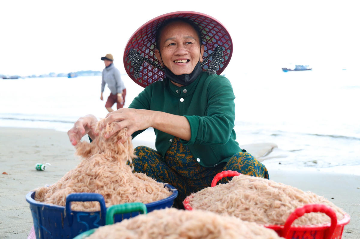 Người dân xã Tịnh Khê vui mừng đánh bắt được nhiều ruốc biển. Ảnh: CV.