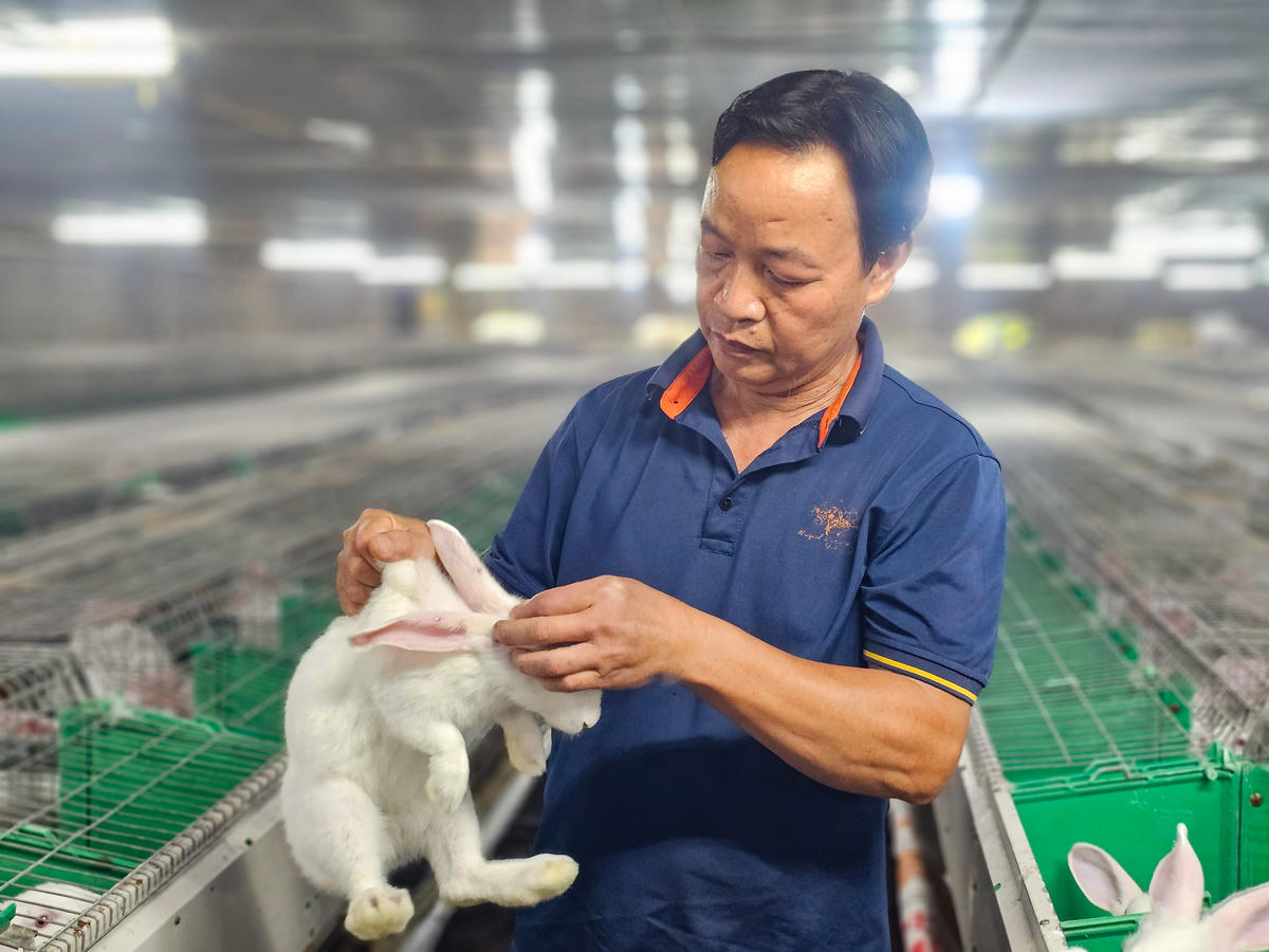 Ông Hợi bắt đầu khởi nghiệp với 150 con thỏ NewZealand. Ảnh: Đình Minh