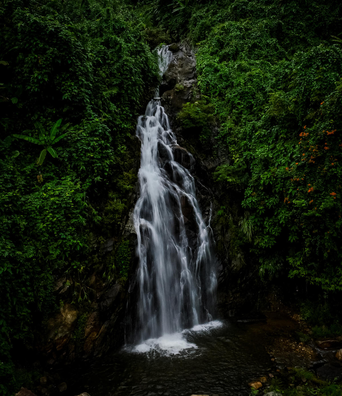 Giải ba - Dòng sữa mẹ đại ngàn. Ảnh: Ngô Quang Tuấn.