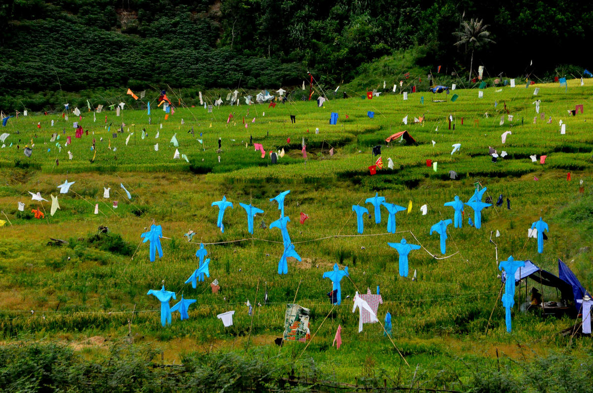 Giải ba - Tín hiệu mùa vàng. Ảnh: Huỳnh Trương Phát.