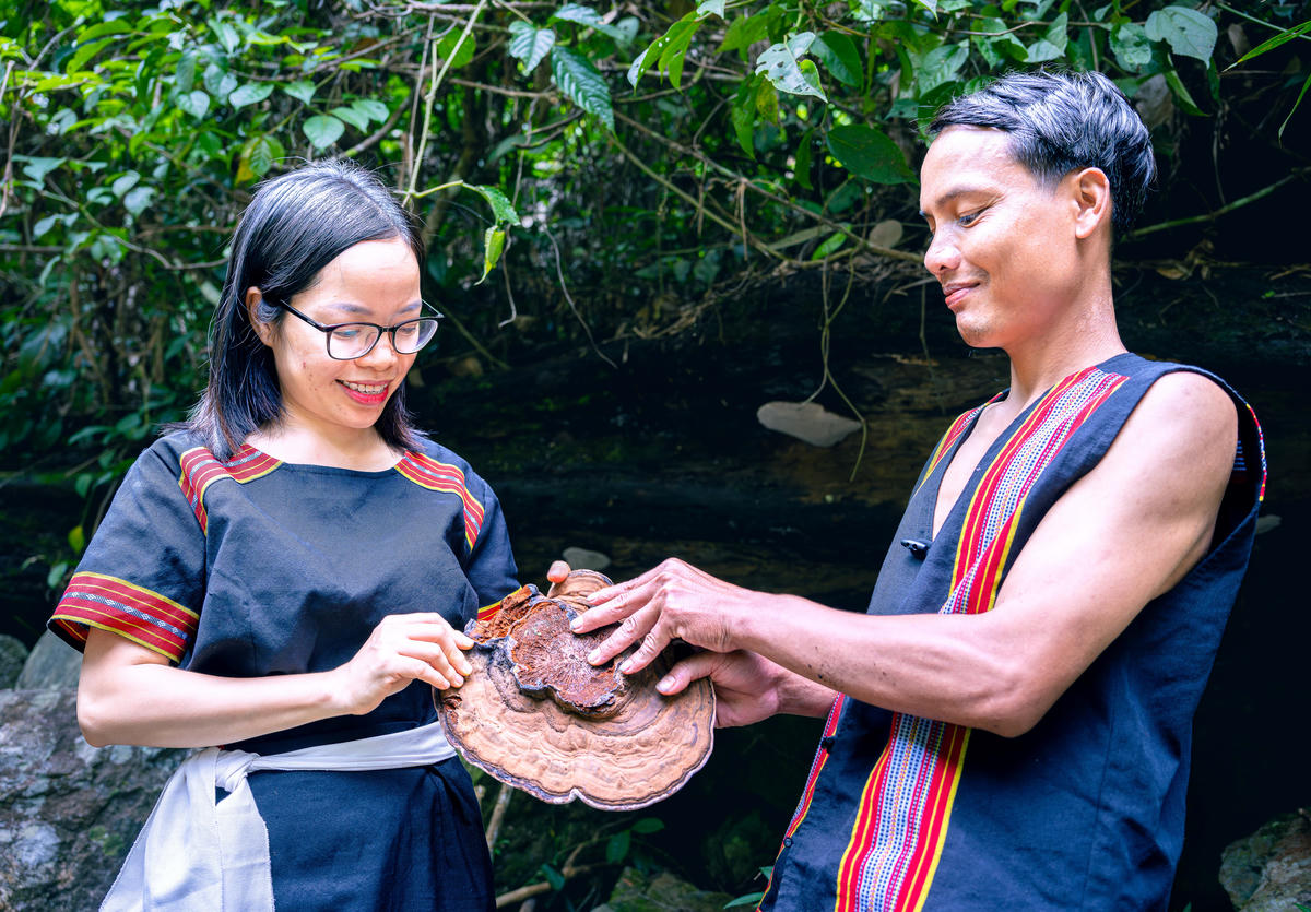 Tác phẩm giải nhất: Dược liệu của rừng xanh. Ảnh: Huỳnh Văn Truyền.