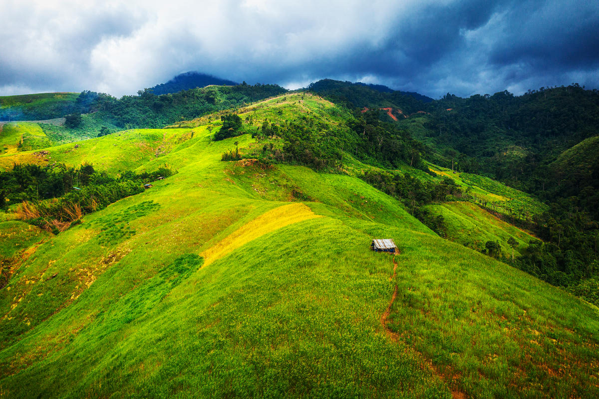 Giải khuyến khích - Đồi vàng. Ảnh: Đỗ Văn Pháp.