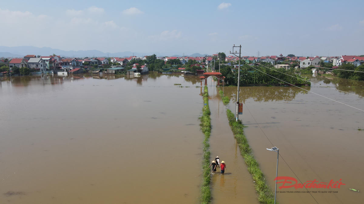15h hôm qua, lũ sông Cầu tại trạm Lương Phúc lên 9,99 m, vượt báo động ba 1,99 m. Lũ sông Công tràn mặt đê Đô Tân 20 cm; sông Cà Lồ vượt báo động ba 1,56 m, cao hơn mực nước lũ thiết kế 0,06 m. Ảnh: Quang Vinh