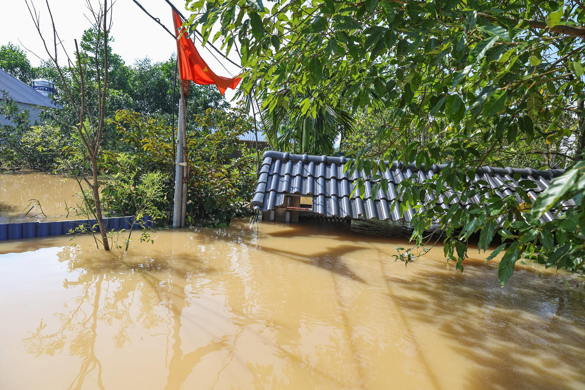 Hoàn lưu bão khiến diện tích sản xuất nông nghiệp của xã Đa Phúc và xã Trung Giã bị ảnh hưởng nặng nề. Một số hạng mục công trình thủy lợi bị sạt trượt, nghiêng đổ. Các tuyến đường giao thông nội xã cũng xuất hiện nhiều điểm ngập cục bộ, gây cản trở di chuyển của người dân và lực lượng chức năng. Ảnh: Quang Vinh.