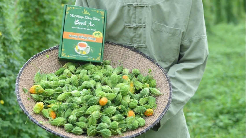 Đa dạng hóa cây trồng, sản phẩm giúp người dân Yên Trạch nâng cao nguồn thu, cải thiện đời sống.