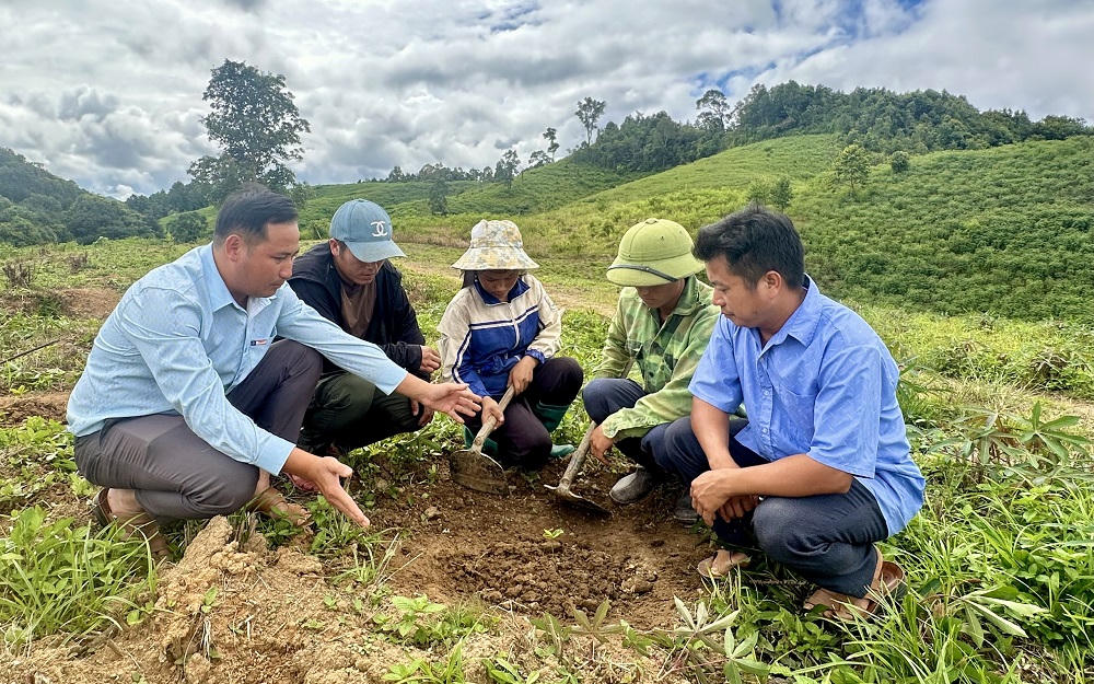 Cán bộ kỹ thuật, cán bộ địa phương hướng dẫn kỹ thuật trồng và chăm sóc cây cà phê cho người dân. Ảnh: Sở DT&amp;TG