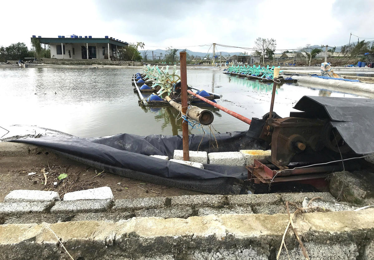 Theo thống kê của UBND xã An Châu, toàn xã có 65 ha nuôi trồng thủy sản, chủ yếu là tôm, bị ngập và hư hại nặng. Hệ thống điện, mương dẫn nước, đường nội đồng đều bị tàn phá, khiến việc khắc phục gặp nhiều khó khăn. Ảnh: ĐB.