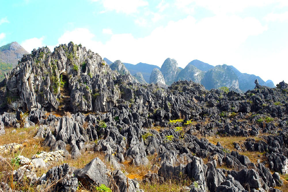 Một góc Cao nguyên đá Đồng Văn. Ảnh: Tuyên Quang online.